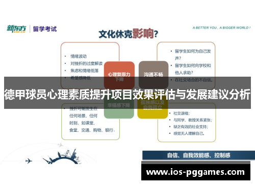 德甲球员心理素质提升项目效果评估与发展建议分析