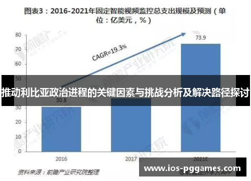 推动利比亚政治进程的关键因素与挑战分析及解决路径探讨
