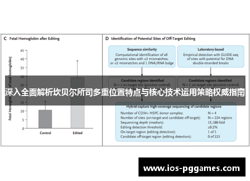 深入全面解析坎贝尔所司多重位置特点与核心技术运用策略权威指南 深入全面解析坎贝尔所司多重位置特点与核心技术运用策略权威指南