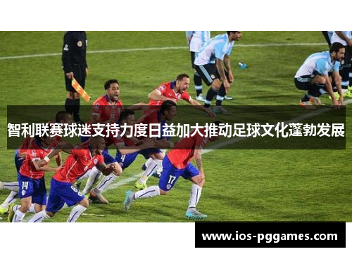 智利联赛球迷支持力度日益加大推动足球文化蓬勃发展